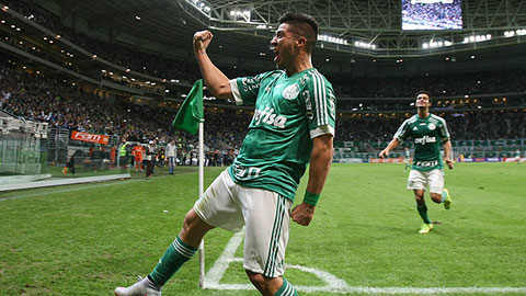 Nhận định Fluminense vs Palmeiras, 05h30 ngày 17/9