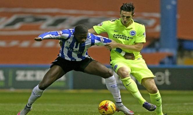 Brighton vs Sheffield Wednesday, 01h45 ngày 17/05: Chiến đấu tới cùng