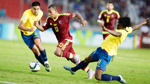 Ecuador vs Venezuela, 04h00 ngày 16/11