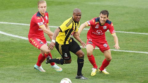 Wellington vs Adelaide, 13h35 ngày 1/1