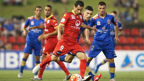 Adelaide United vs Newcastle Jets, 15h50 ngày 17/2