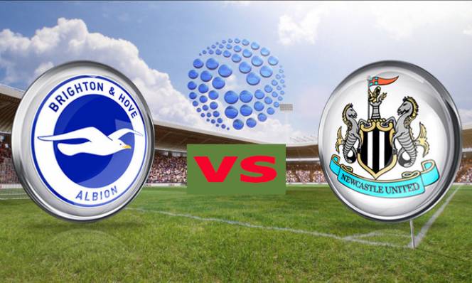 Brighton & Hove Albion vs Newcastle, 02h45 ngày 01/03: Đại chiến quyết ngôi đầu