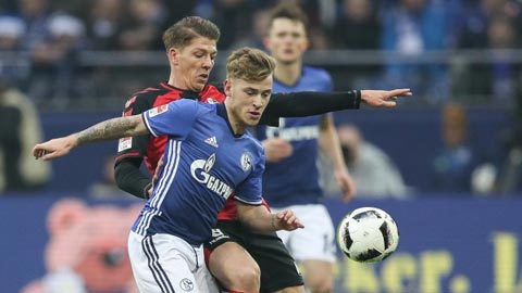 Schalke vs PAOK Salonik, 0h00 ngày 23/2: Chủ nhà ung dung