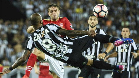 Estudiantes vs Botafogo, 07h45 ngày 26/5